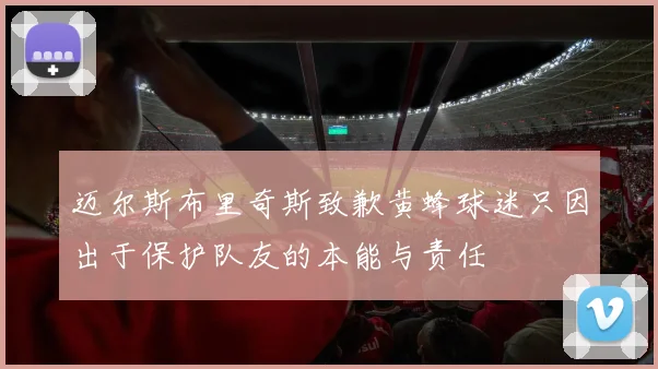 迈尔斯布里奇斯致歉黄蜂球迷只因出于保护队友的本能与责任