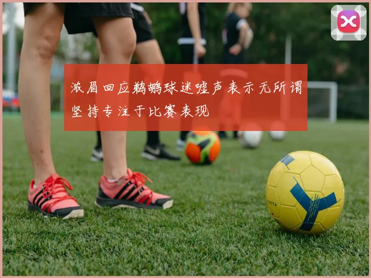 浓眉回应鹈鹕球迷嘘声表示无所谓坚持专注于比赛表现
